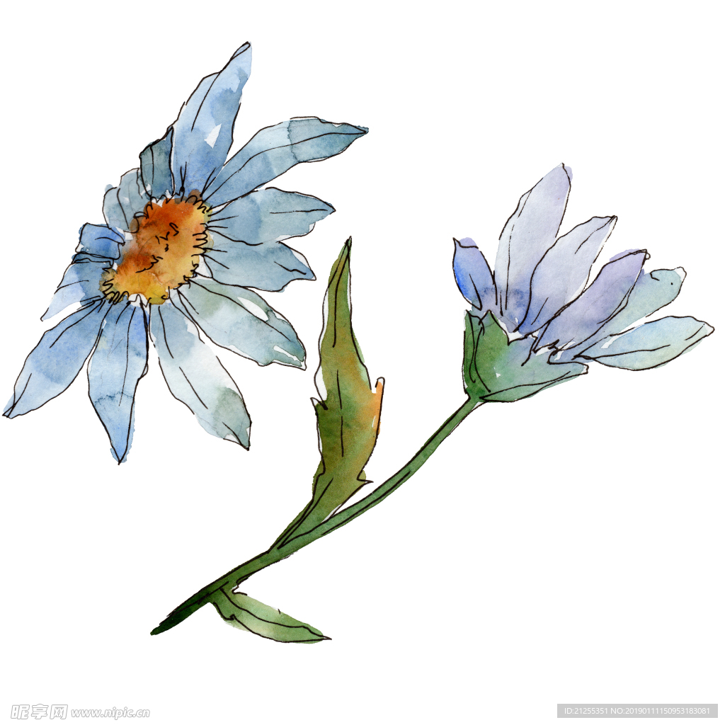花纹装饰
