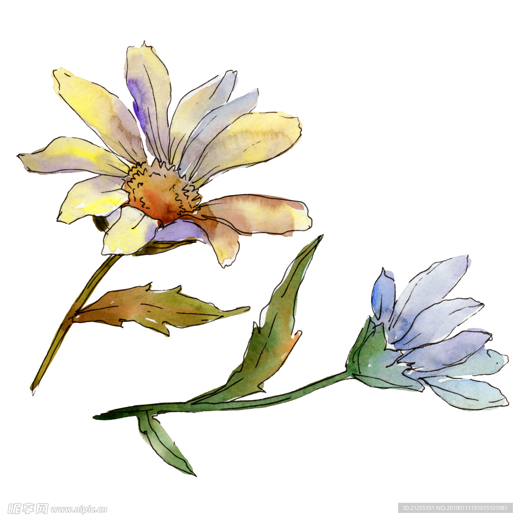 花纹装饰