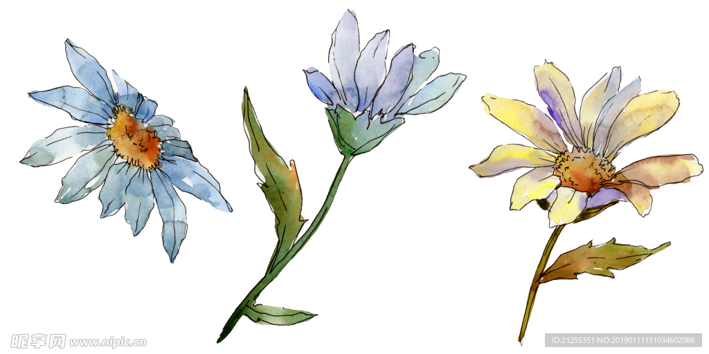 花纹装饰