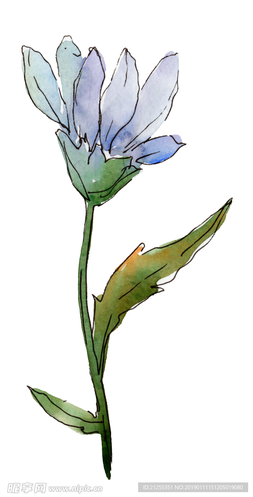 花纹装饰