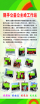 志愿者绿色清新易拉宝展架