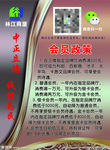 会员政策