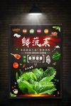 菠菜海报