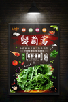 茼蒿
