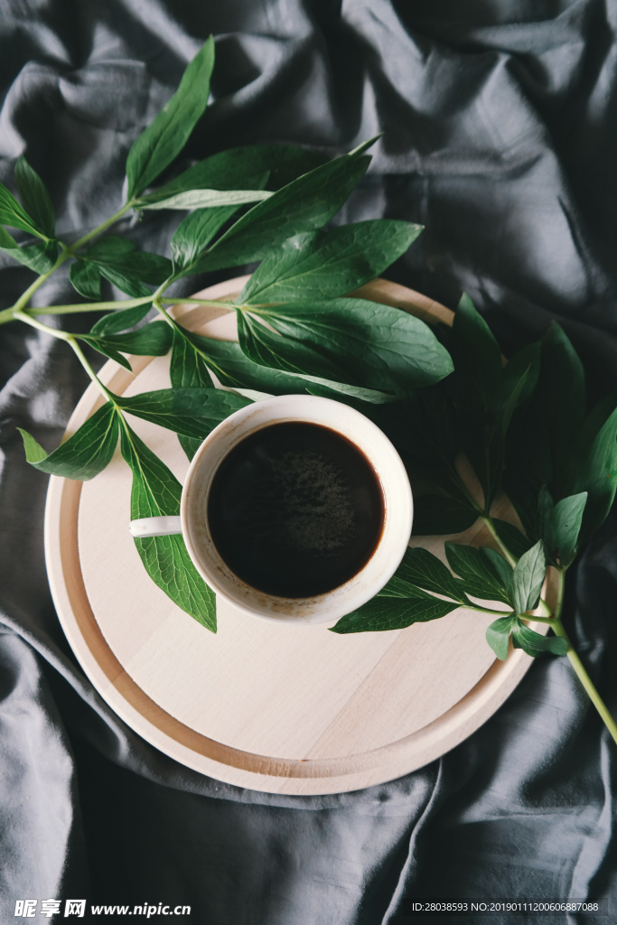 茶
