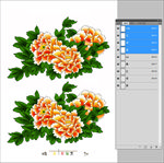 牡丹 花