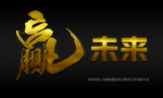 赢 特效