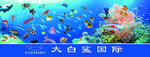 海底世界