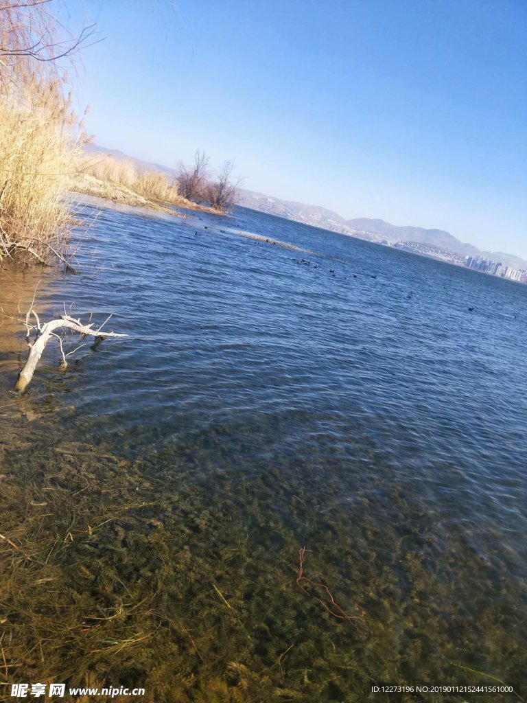 水 湖