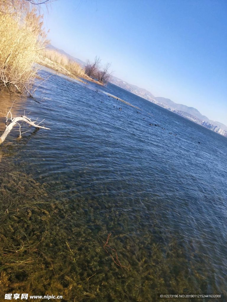 野鸭湖