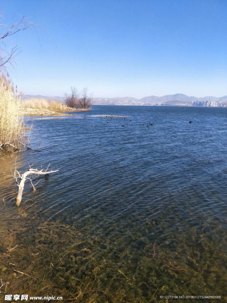 野鸭湖 景点 旅游 水 湖 自