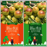 大枣