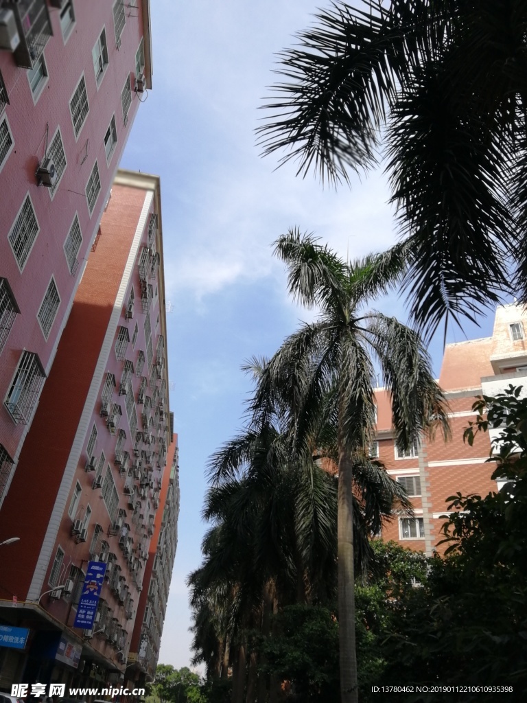 高楼大厦