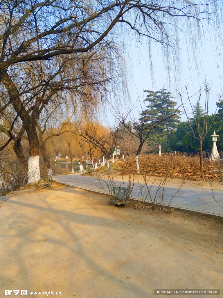 美丽的公园风景