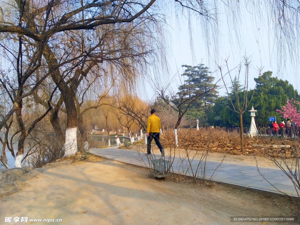 美丽的公园风景