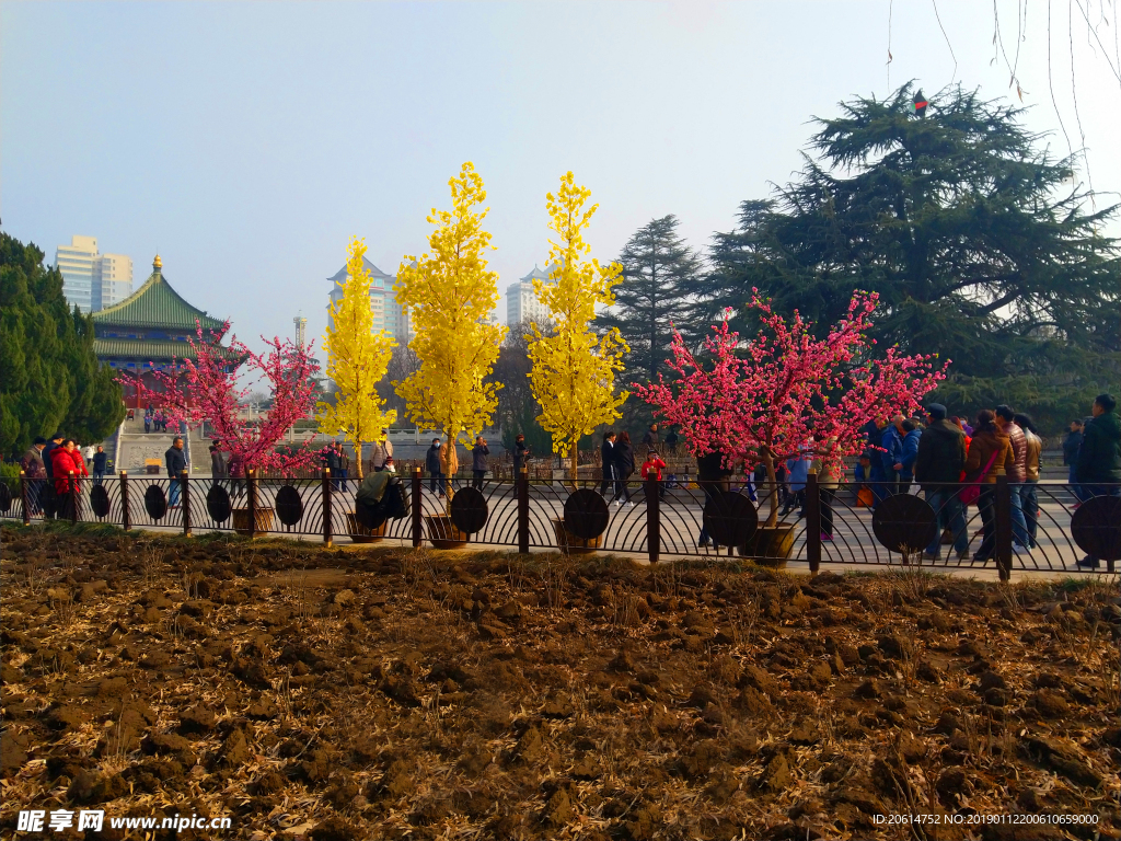 美丽的公园风景