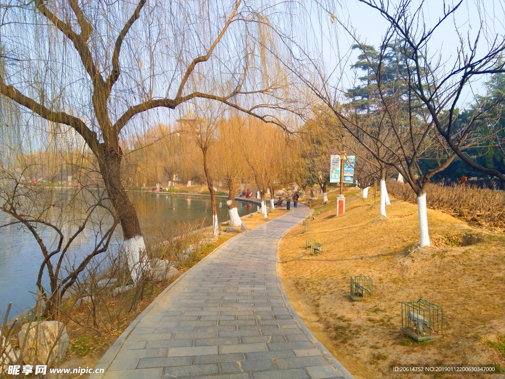 夕阳下的公园风景