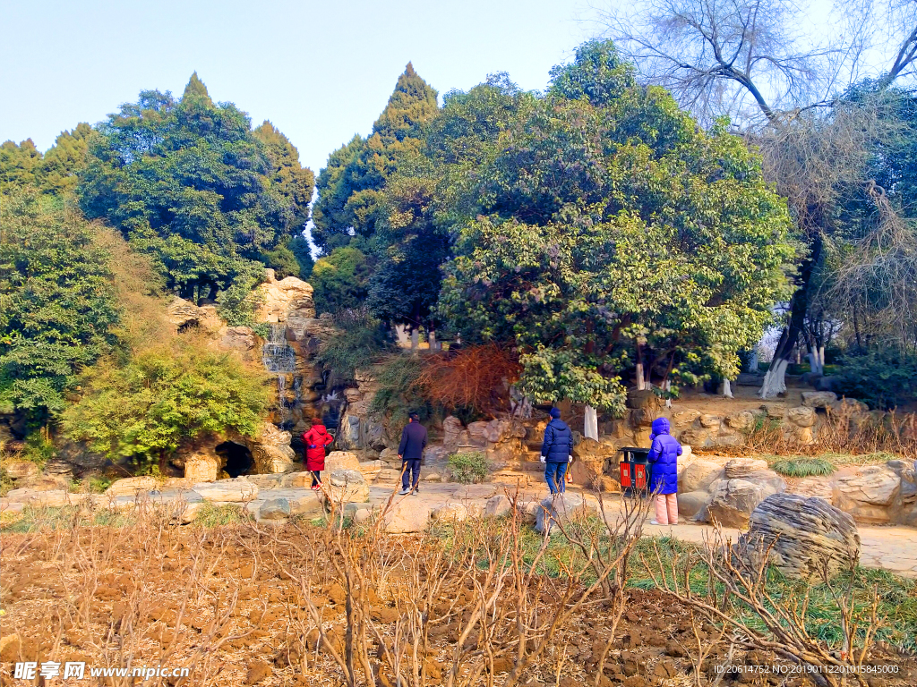 美丽的公园风景