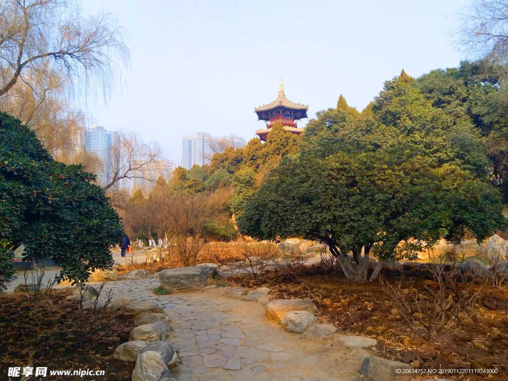 夕阳下的公园风景