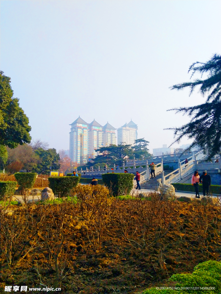 美丽的公园风景