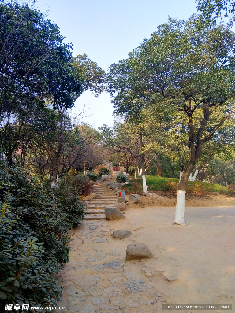 公园美景
