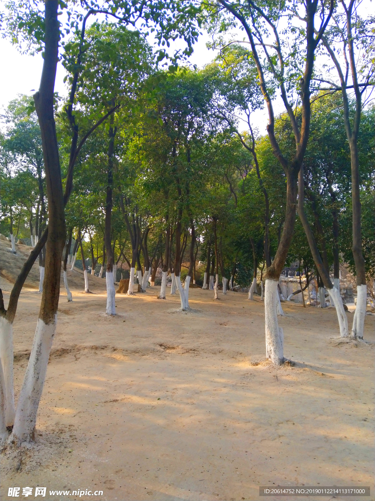 美丽的公园风景