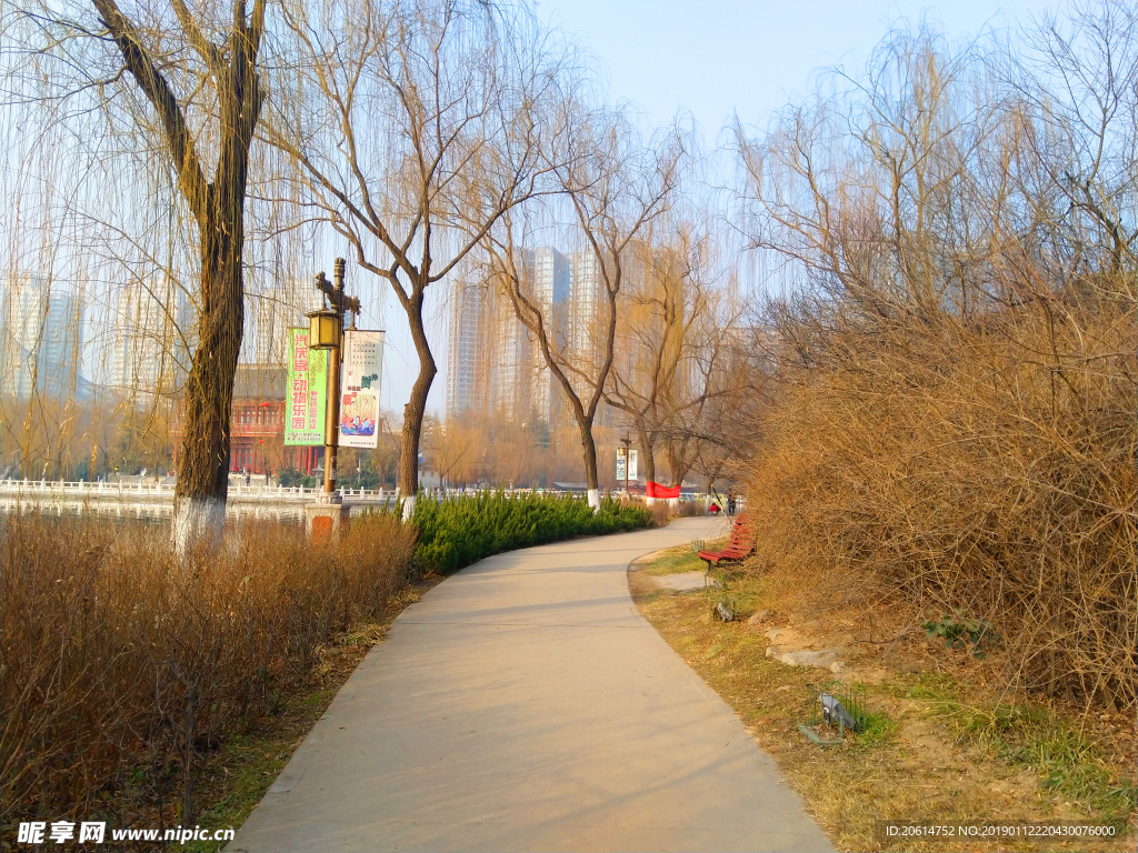 美丽的公园风景