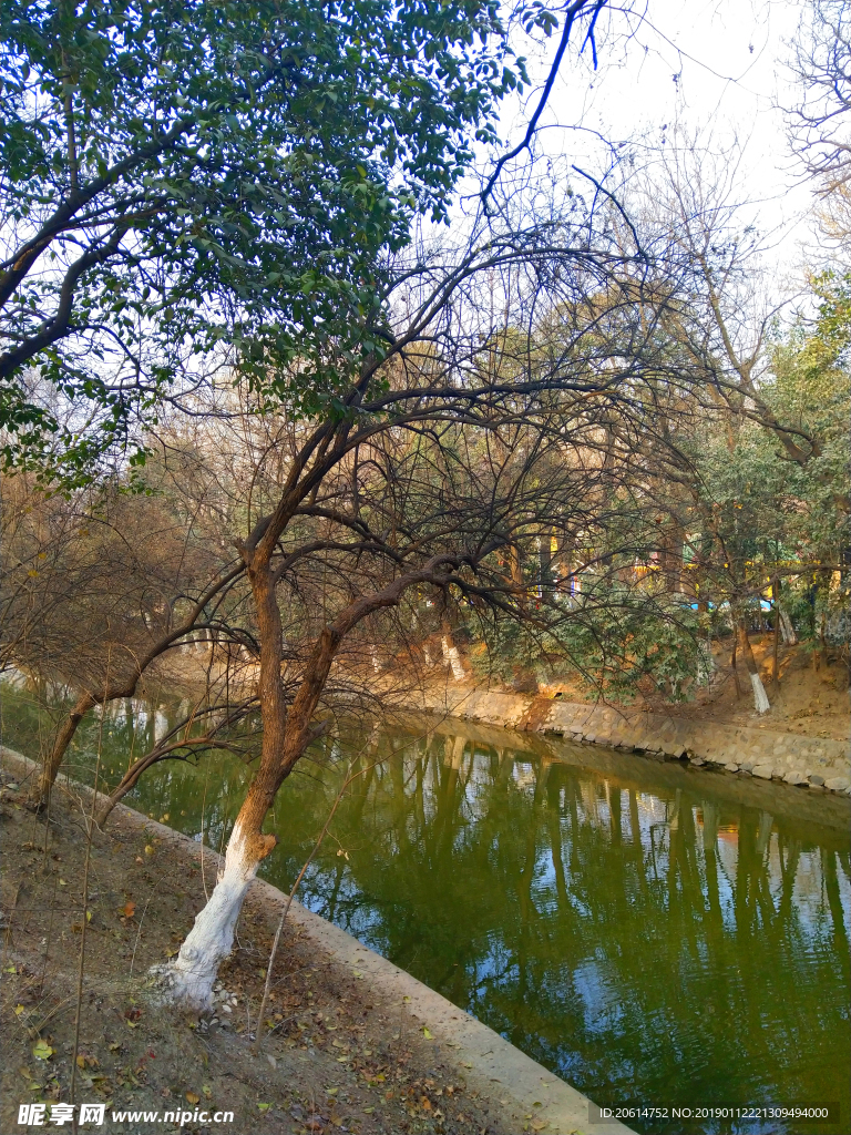 公园河道风景