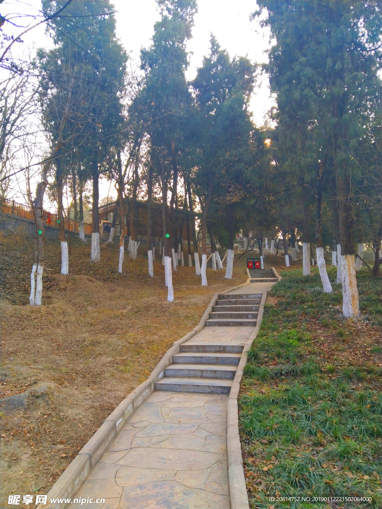 美丽的公园风景