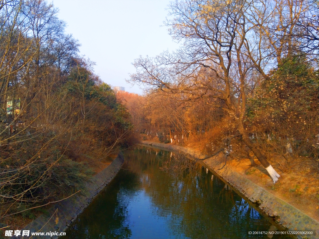 夕阳下美丽的公园风景