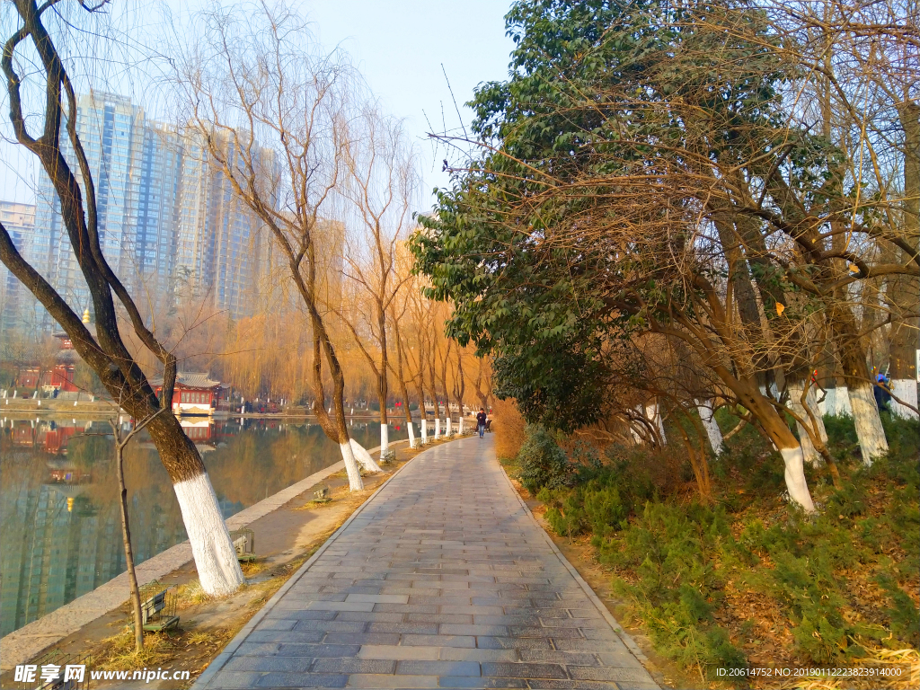 夕阳下的公园风景