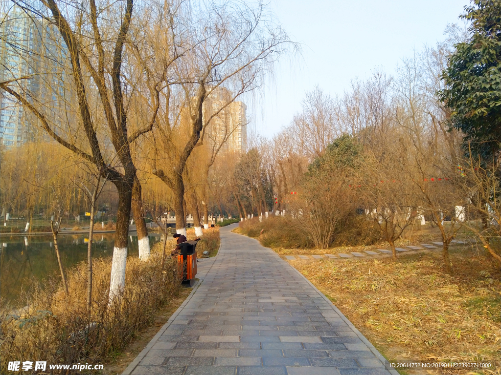 深秋时节的公园风景