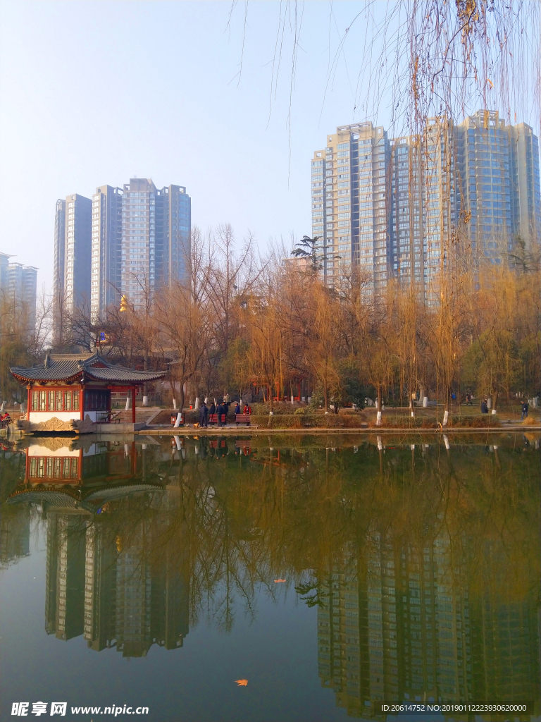 美丽的公园风景