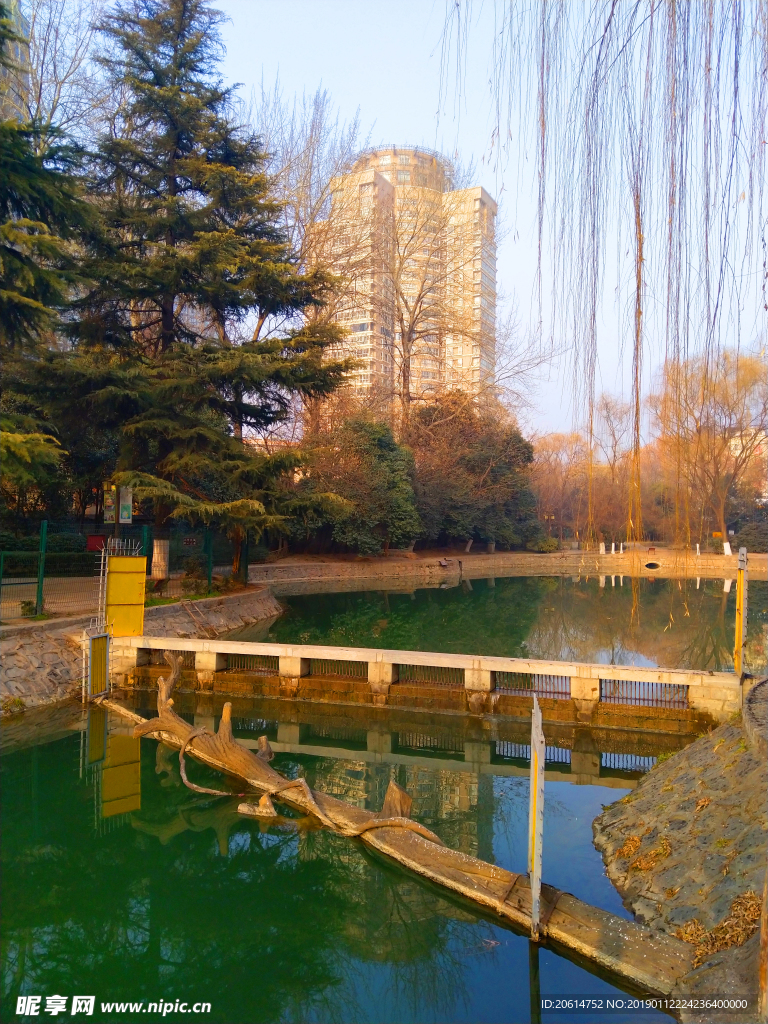 美丽的公园风景