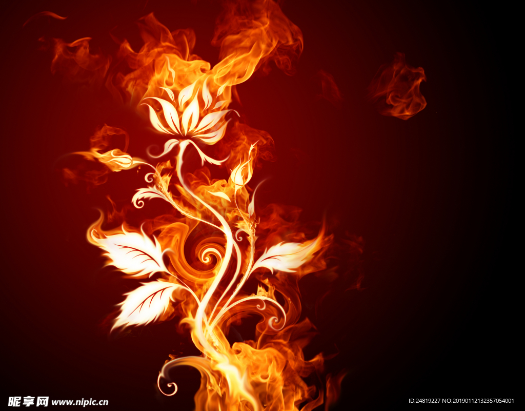 花朵火焰