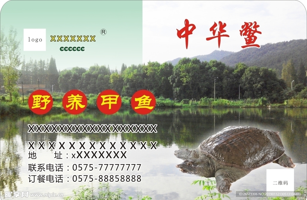 中华鳖