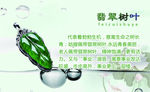 翡翠树叶寓意卡片