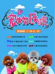 宠物医院海报图片