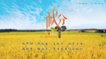 秋分黄色海报图片