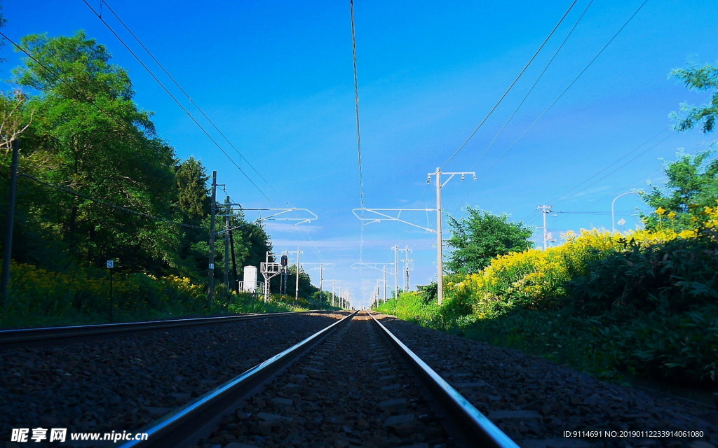 湖泊 草原牧场 山川美景 草原