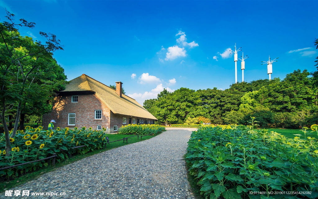 湖泊 草原牧场 山川美景 草原