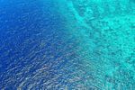 海洋
