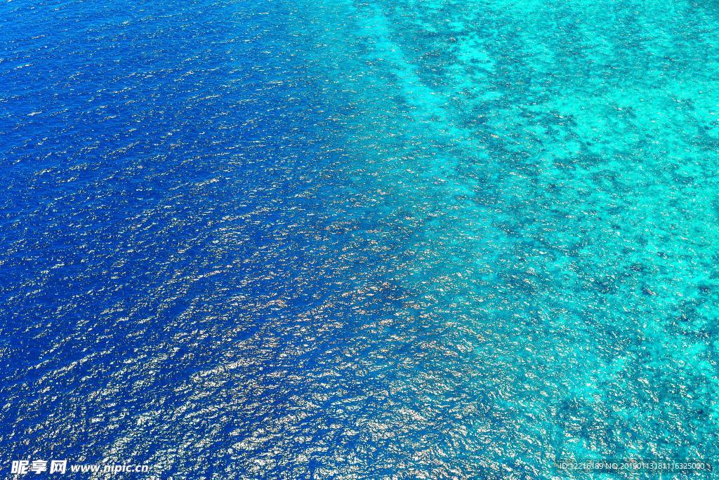 海洋