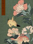 花鸟植物工笔富贵鸟中国风