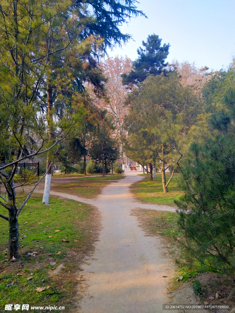 美丽的公园风景