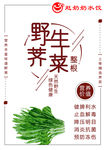 野生荠菜