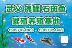 养殖基地