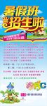 暑假班招生展架