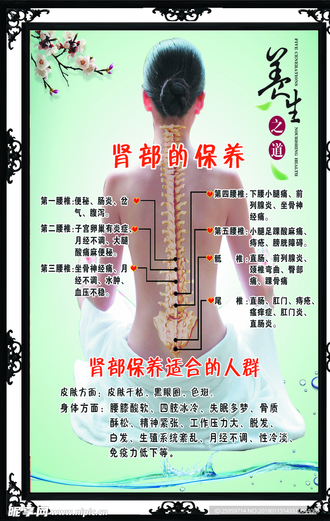 中医肾部保养