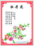 牡丹
